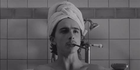 timothee chalamet naked porn|TIMOTHEE CHALAMET Nude